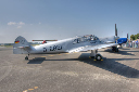 Historisches_Flugzeug-Messerschmitt_Bf_108_B-2_Taifun-D-EBEI-HDR