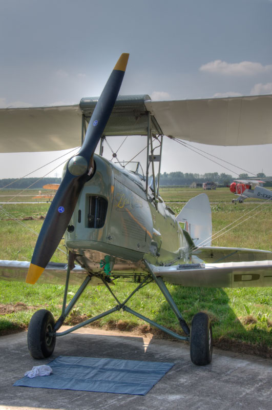 Historisches_Flugzeug-De_Havilland_DH_82_A_Tiger_Moth-D-ENDI-HDR